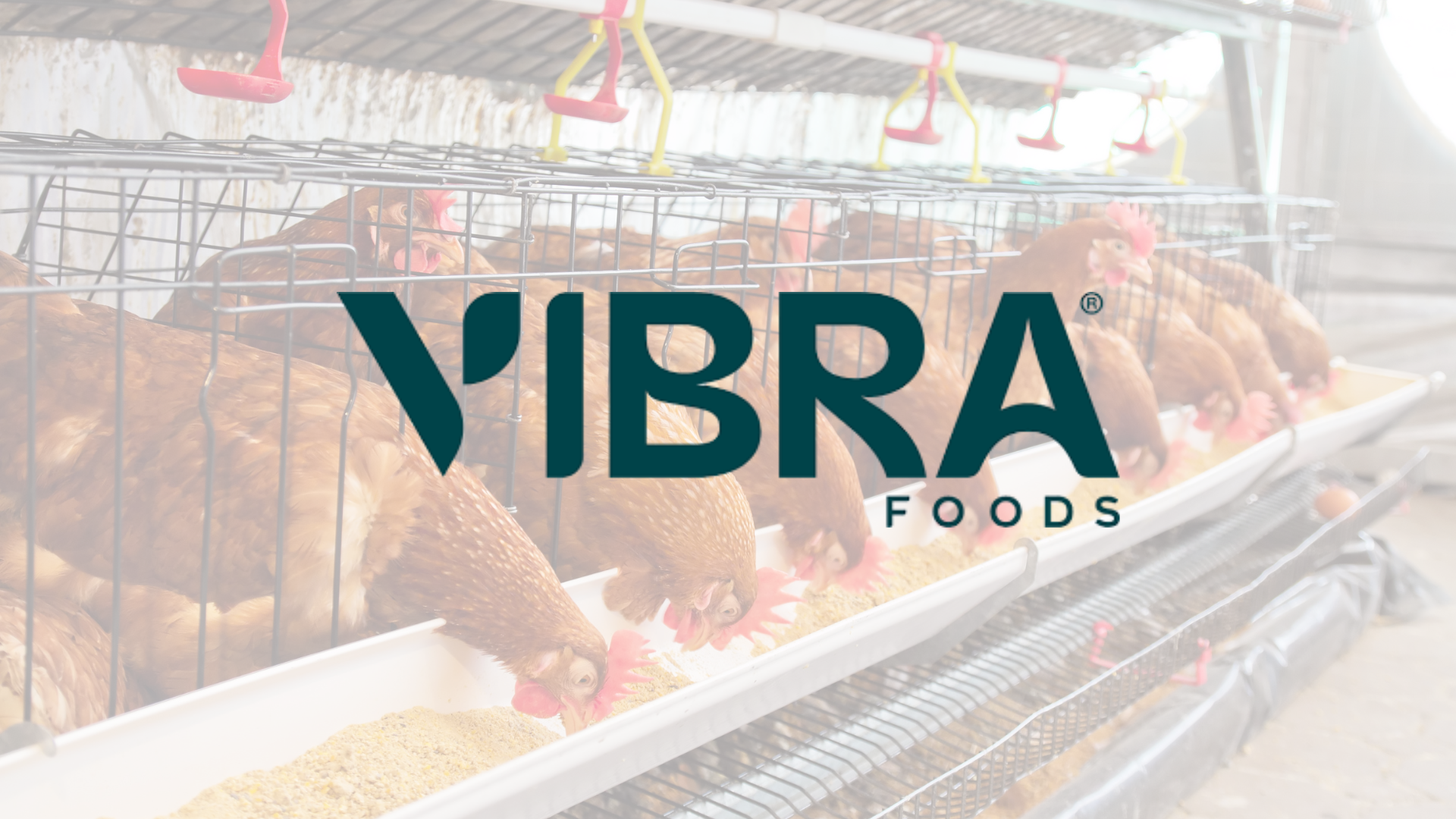 Case Vibra